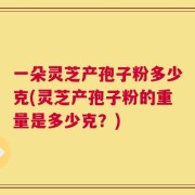 一朵灵芝产孢子粉多少克(灵芝产孢子粉的重量是多少克？)