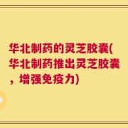 华北制药的灵芝胶囊(华北制药推出灵芝胶囊，增强免疫力)