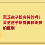 灵芝孢子粉有纯的吗？灵芝孢子粉有机和无机的区别