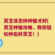 灵芝该怎样种植才好(灵芝种植攻略，教你轻松种出好灵芝！)