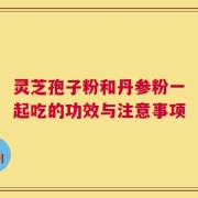 灵芝孢子粉和丹参粉一起吃的功效与注意事项