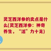 灵芝西洋参的卖点是什么(灵芝西洋参：神奇养生，“活”力十足)