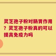 灵芝孢子粉对肠胃作用？灵芝孢子粉真的可以提高免疫力吗
