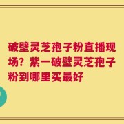 破壁灵芝孢子粉直播现场？紫一破壁灵芝孢子粉到哪里买最好