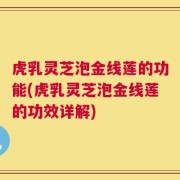 虎乳灵芝泡金线莲的功能(虎乳灵芝泡金线莲的功效详解)