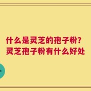什么是灵芝的孢子粉？灵芝孢子粉有什么好处