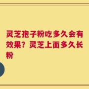 灵芝孢子粉吃多久会有效果？灵芝上面多久长粉