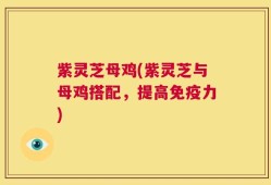 紫灵芝母鸡(紫灵芝与母鸡搭配，提高免疫力)