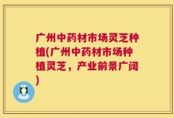 广州中药材市场灵芝种植(广州中药材市场种植灵芝，产业前景广阔)