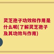 灵芝孢子功效和作用是什么呢(了解灵芝孢子及其功效与作用)
