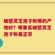破壁灵芝孢子粉哪的产地好？哪里买破壁灵芝孢子粉最正宗