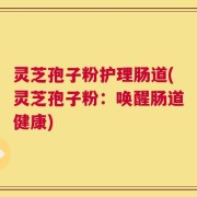 灵芝孢子粉护理肠道(灵芝孢子粉：唤醒肠道健康)