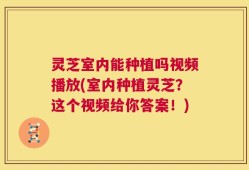 灵芝室内能种植吗视频播放(室内种植灵芝？这个视频给你答案！)