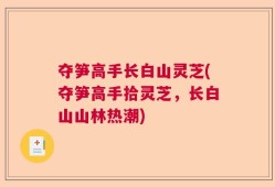 夺笋高手长白山灵芝(夺笋高手拾灵芝，长白山山林热潮)