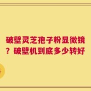 破壁灵芝孢子粉显微镜？破壁机到底多少转好