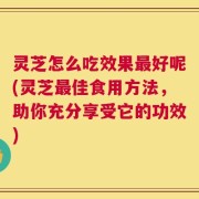 灵芝怎么吃效果最好呢(灵芝最佳食用方法，助你充分享受它的功效)