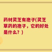 药材灵芝有孢子(灵芝草药的孢子，它的好处是什么？)