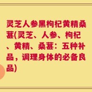 灵芝人参黑枸杞黄精桑葚(灵芝、人参、枸杞、黄精、桑葚：五种补品，调理身体的必备良品)