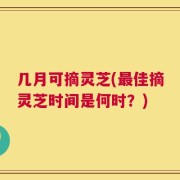 几月可摘灵芝(最佳摘灵芝时间是何时？)