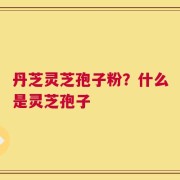 丹芝灵芝孢子粉？什么是灵芝孢子