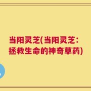 当阳灵芝(当阳灵芝：拯救生命的神奇草药)