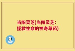 当阳灵芝(当阳灵芝：拯救生命的神奇草药)