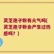 灵芝孢子粉有火气吗(灵芝孢子粉会产生过热感吗？)