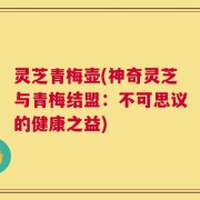 灵芝青梅壶(神奇灵芝与青梅结盟：不可思议的健康之益)