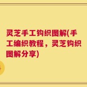 灵芝手工钩织图解(手工编织教程，灵芝钩织图解分享)