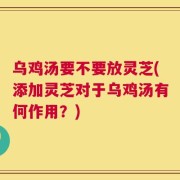 乌鸡汤要不要放灵芝(添加灵芝对于乌鸡汤有何作用？)