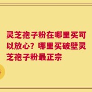灵芝孢子粉在哪里买可以放心？哪里买破壁灵芝孢子粉最正宗