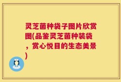 灵芝菌种袋子图片欣赏图(品鉴灵芝菌种装袋，赏心悦目的生态美景)