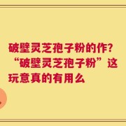 破壁灵芝孢子粉的作？“破壁灵芝孢子粉”这玩意真的有用么