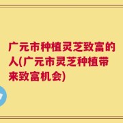 广元市种植灵芝致富的人(广元市灵芝种植带来致富机会)