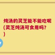 炖汤的灵芝能不能吃呢(灵芝炖汤可食用吗？)