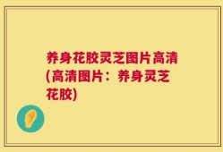 养身花胶灵芝图片高清(高清图片：养身灵芝花胶)