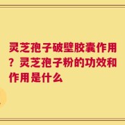 灵芝孢子破壁胶囊作用？灵芝孢子粉的功效和作用是什么