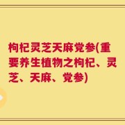 枸杞灵芝天麻党参(重要养生植物之枸杞、灵芝、天麻、党参)