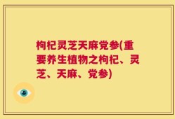 枸杞灵芝天麻党参(重要养生植物之枸杞、灵芝、天麻、党参)