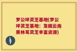 罗公坪灵芝基地(罗公坪灵芝基地：发掘云南黑林耳灵芝丰富资源)