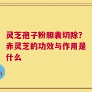 灵芝孢子粉胆囊切除？赤灵芝的功效与作用是什么