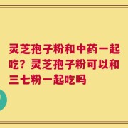灵芝孢子粉和中药一起吃？灵芝孢子粉可以和三七粉一起吃吗