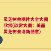 灵芝树舍图片大全大图欣赏(欣赏大图：美丽灵芝树舍清新惬意)