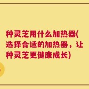 种灵芝用什么加热器(选择合适的加热器，让种灵芝更健康成长)