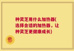 种灵芝用什么加热器(选择合适的加热器，让种灵芝更健康成长)