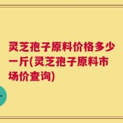 灵芝孢子原料价格多少一斤(灵芝孢子原料市场价查询)