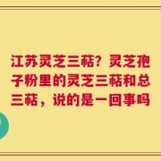 江苏灵芝三萜？灵芝孢子粉里的灵芝三萜和总三萜，说的是一回事吗