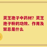 灵芝孢子中药材？灵芝孢子粉的功效、作用及禁忌是什么
