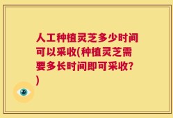 人工种植灵芝多少时间可以采收(种植灵芝需要多长时间即可采收？)