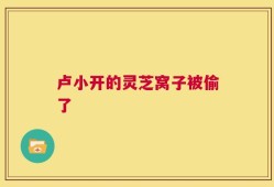 卢小开的灵芝窝子被偷了
